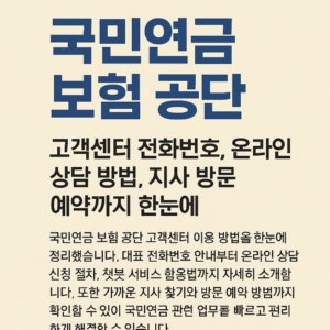 국민연금 보험 공단
